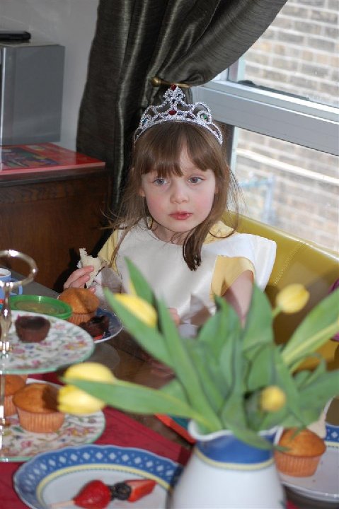DSC 0186 (LARGE)